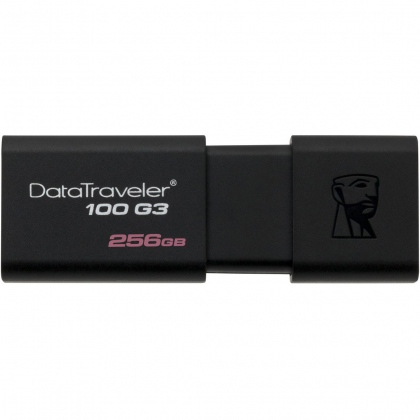 USB 256GB Kingston DataTraverler 100 G3