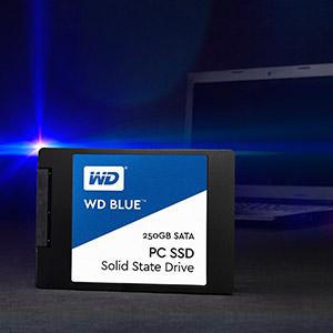 Ổ cứng SSD Western Digital WD Blue - Thương hiệu hàng đầu thế giới