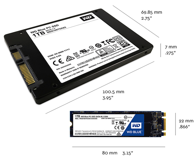 Ổ cứng SSD Western Digital WD Blue - Tương thích mọi máy tính