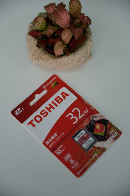 Thẻ nhớ 32GB SDHC Toshiba Exceria U3 90MB/s cho máy ảnh 13
