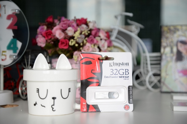 USB 32gb Kingston DataTraveler SE9 G2 9
