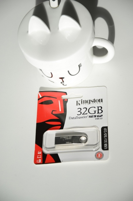 USB 32gb Kingston DataTraveler SE9 G2 10
