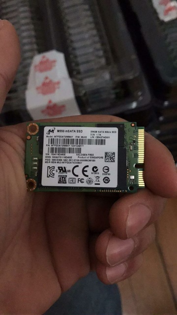 Ổ cứng SSD mSATA 256gb Crucial M550 6