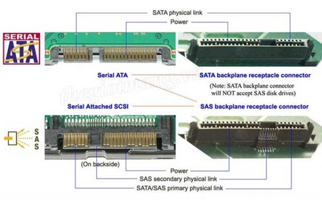 So sánh về chuẩn SATA và SAS cho ổ cứng máy chủ 1