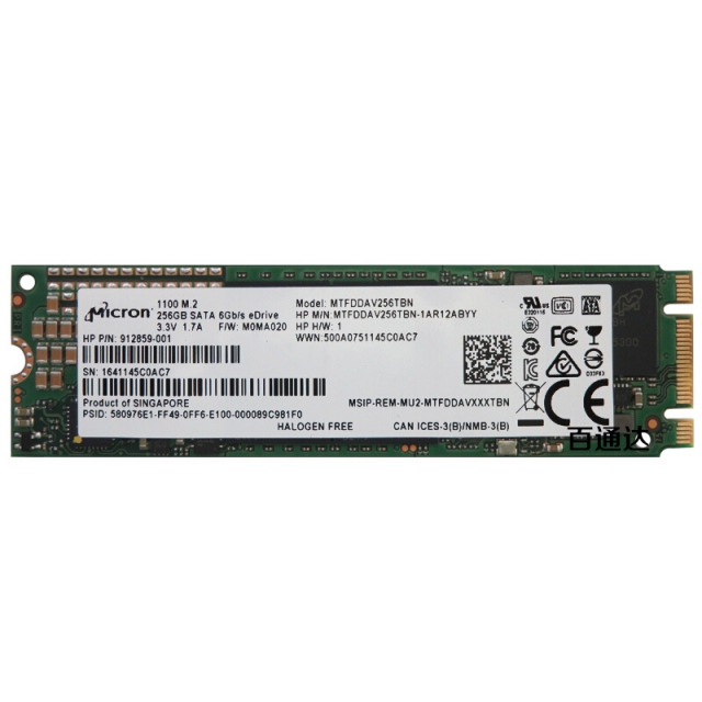 Ổ cứng SSD M2-SATA 256GB Micron 1100 2280 - Tuanphong.vn