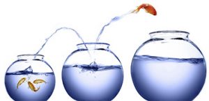 HDD Seagate Barracuda - Dễ dàng di chuyển dữ liệu lớn hơn 2TB